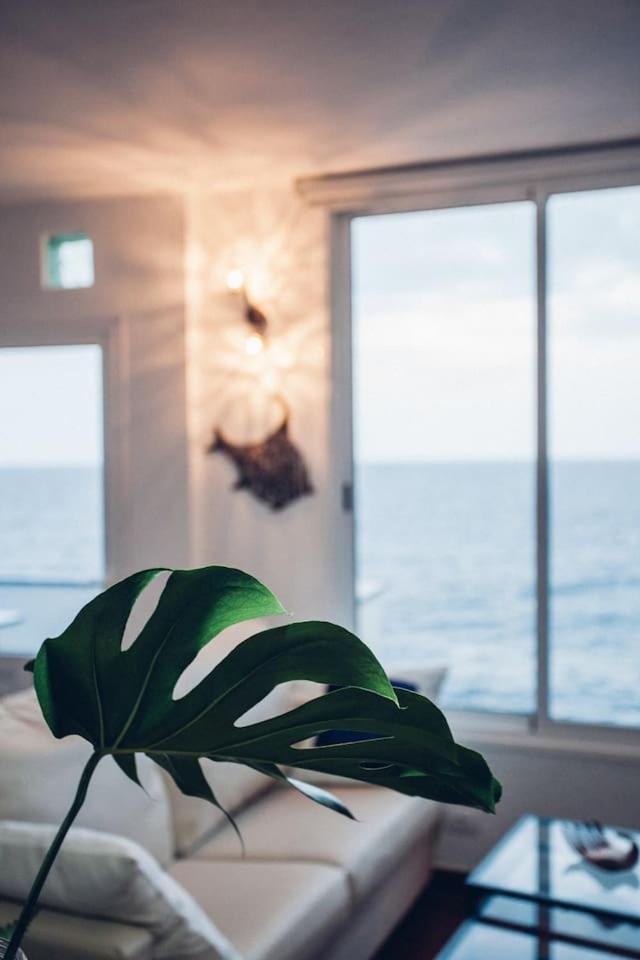 Canary Casita Next To The Atlantic Ocean Radazul Quarto foto